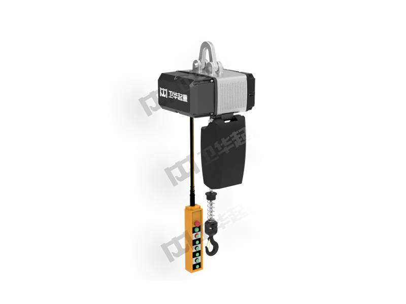 Electric chain hoist